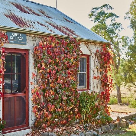 Lochinver Homestead And Cottagesメアリーバラ エクステリア 写真