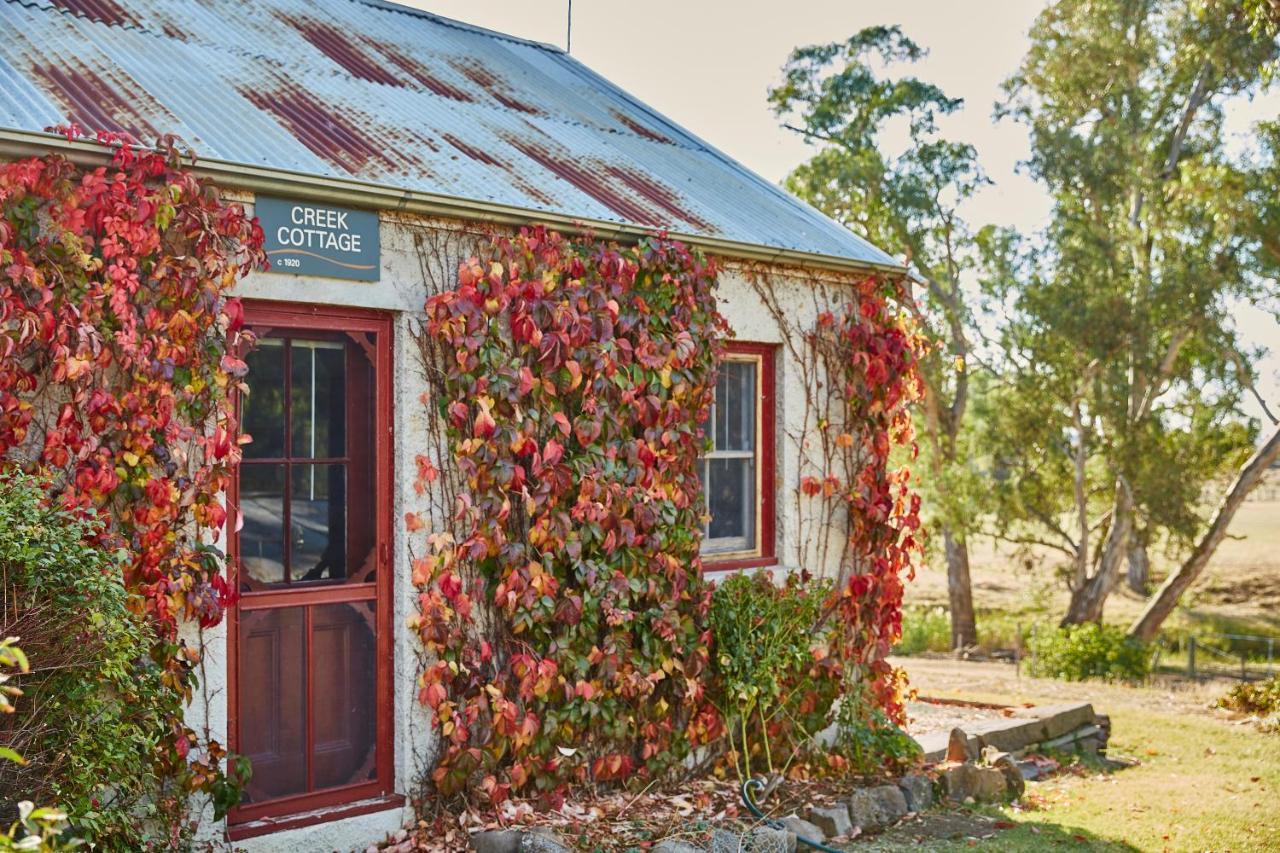 Lochinver Homestead And Cottagesメアリーバラ エクステリア 写真